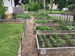 community gardens